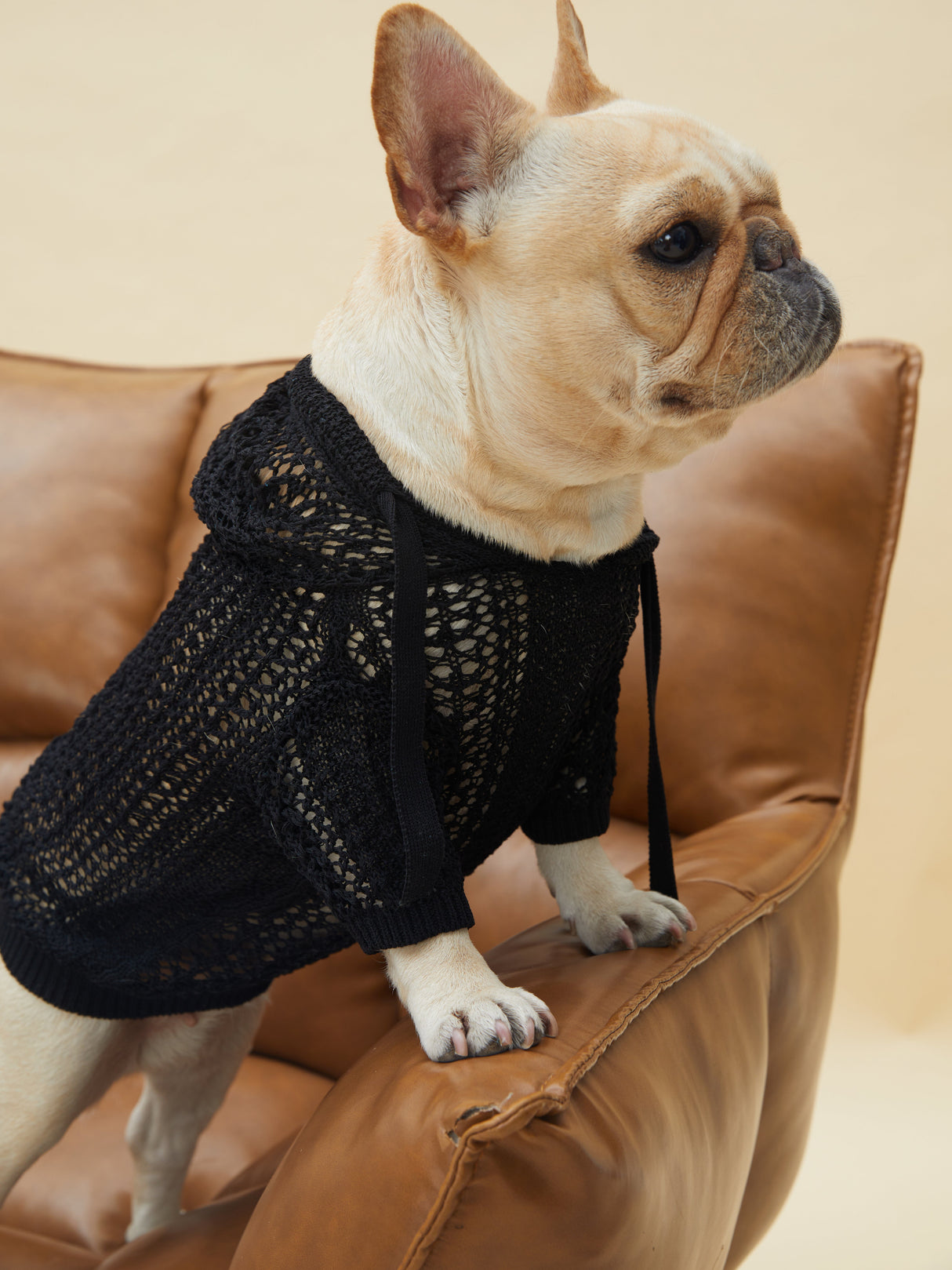 MESH HOODIE (BLACK)