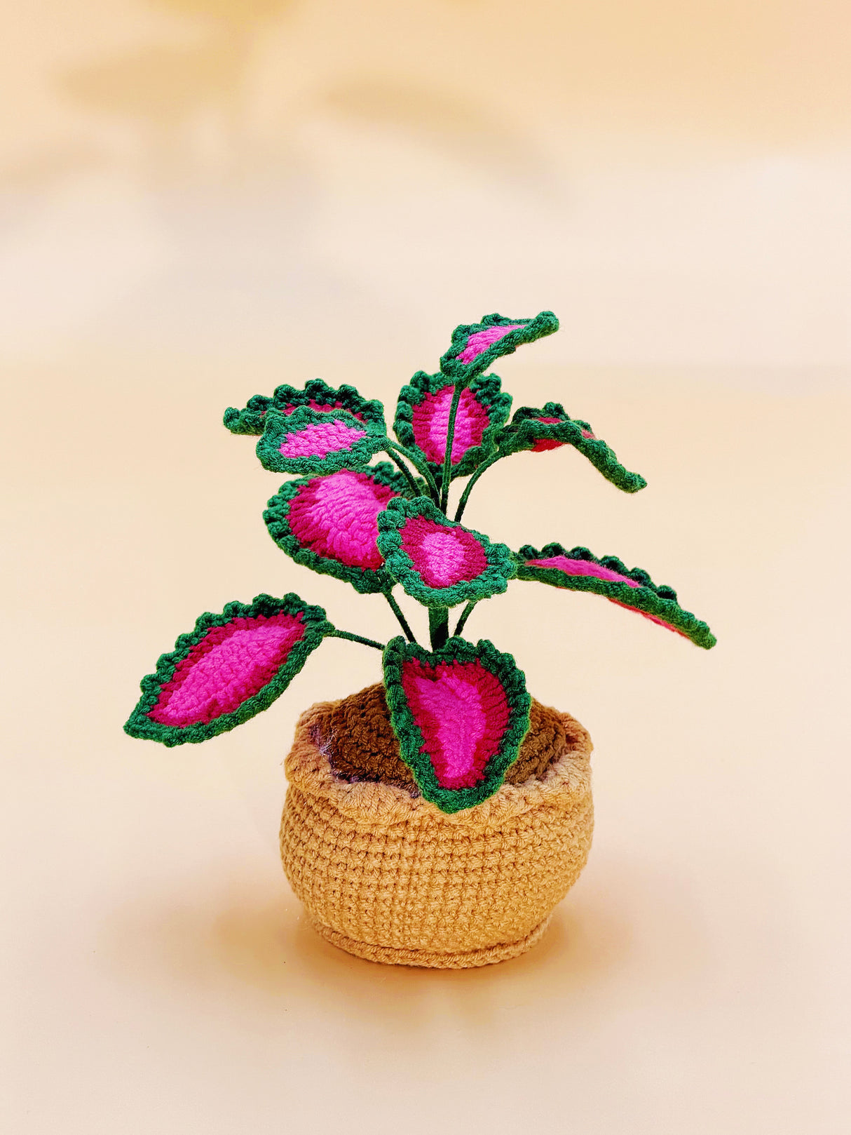 Coleus Plant Crochet Pot