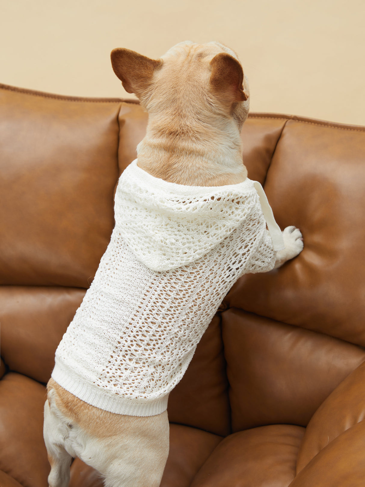 MESH HOODIE (WHITE)