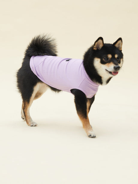 VIENNA - PURE COTTON VEST (LAVENDER) | Stylish Pet Accessory