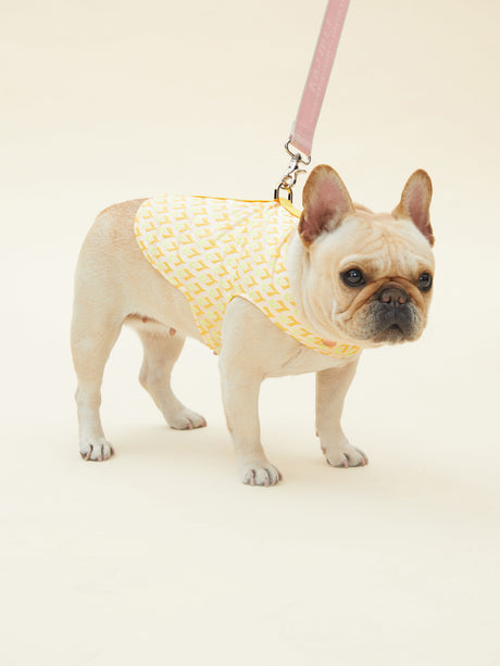 SIGNATURE HARNESS (ORANGE) | Stylish Pet Accessory