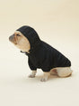 URBAN RAINCOAT/WINDBREAKER (BLACK) | Stylish Pet Accessory