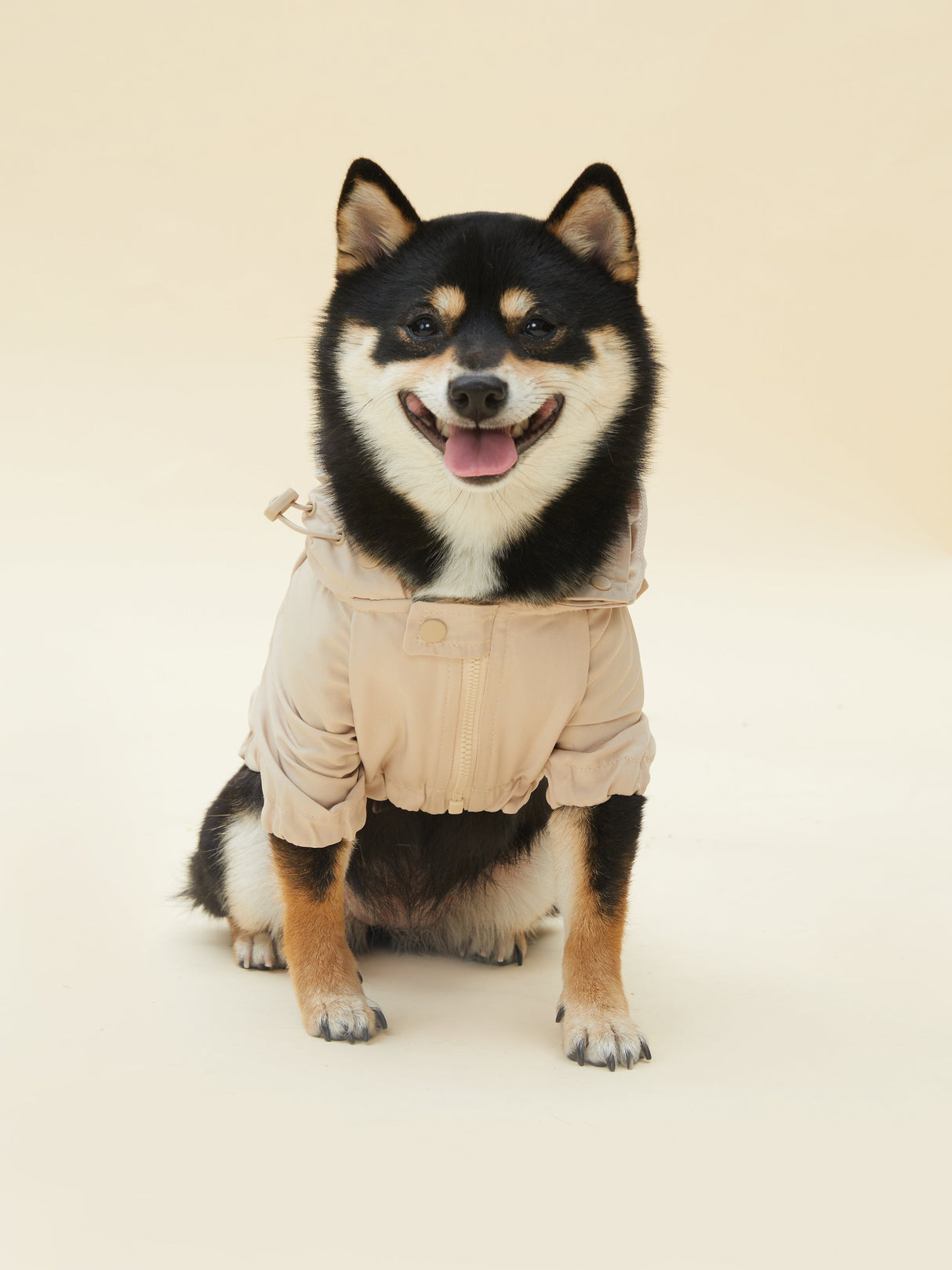 URBAN RAINCOAT/WINDBREAKER  (SAND) | Stylish Pet Accessory