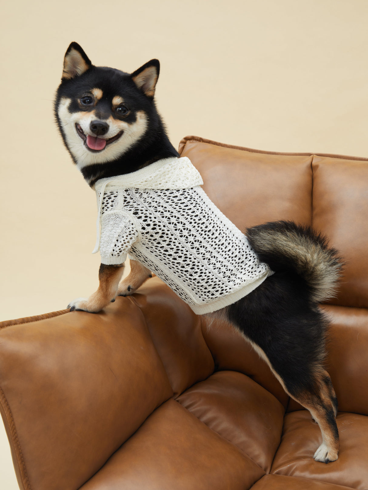 MESH HOODIE (WHITE)