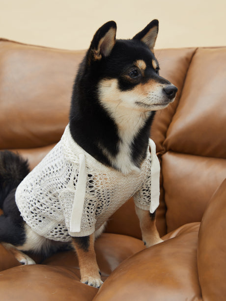 MESH HOODIE (WHITE)