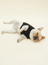 VIENNA - PURE COTTON VEST (BLACK)
