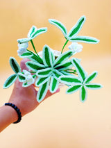 Spider Plant Crochet Flower Pot