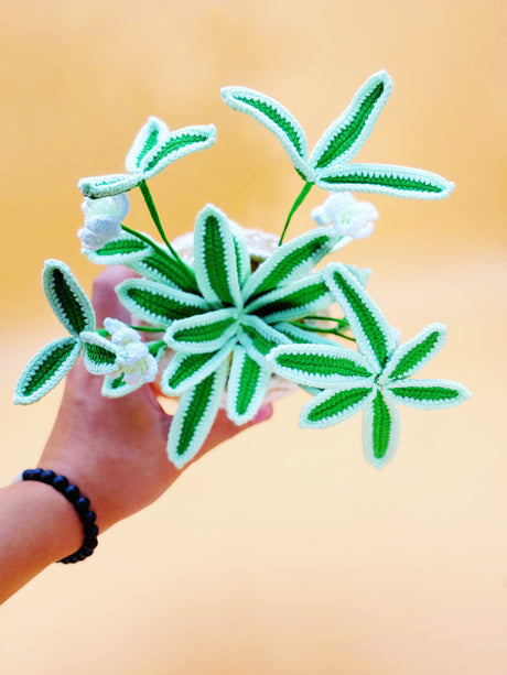 Spider Plant Crochet Flower Pot