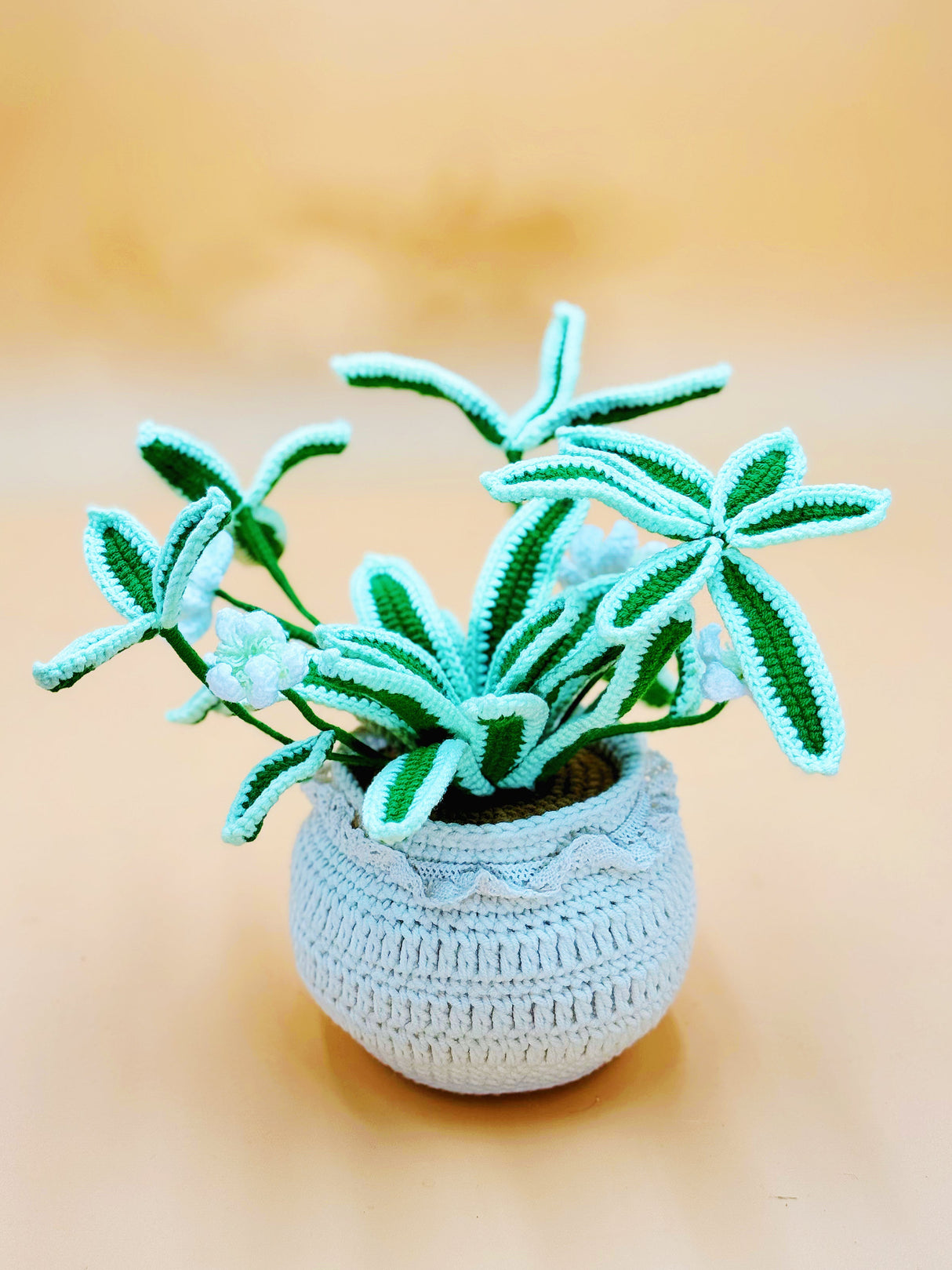Spider Plant Flower Pot | Crochet Flower Pot Home Decor