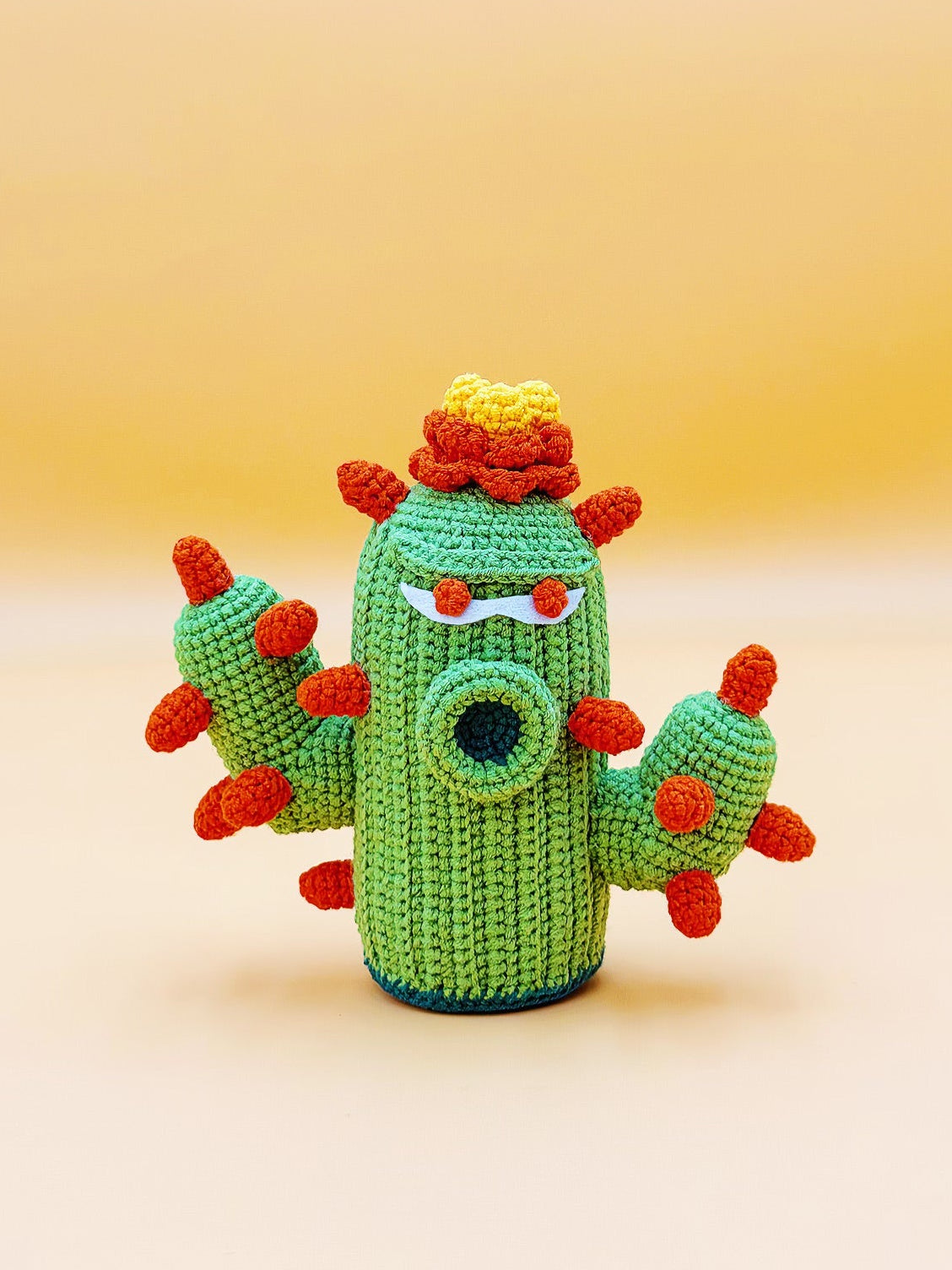 Cactus Shooter Flower Pot | Crochet Flower Pot Home Decor