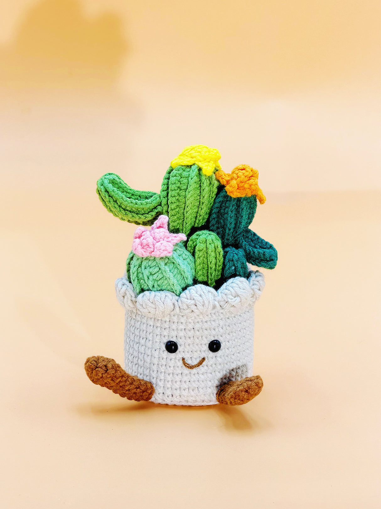 Cactus Crochet Flower Pot