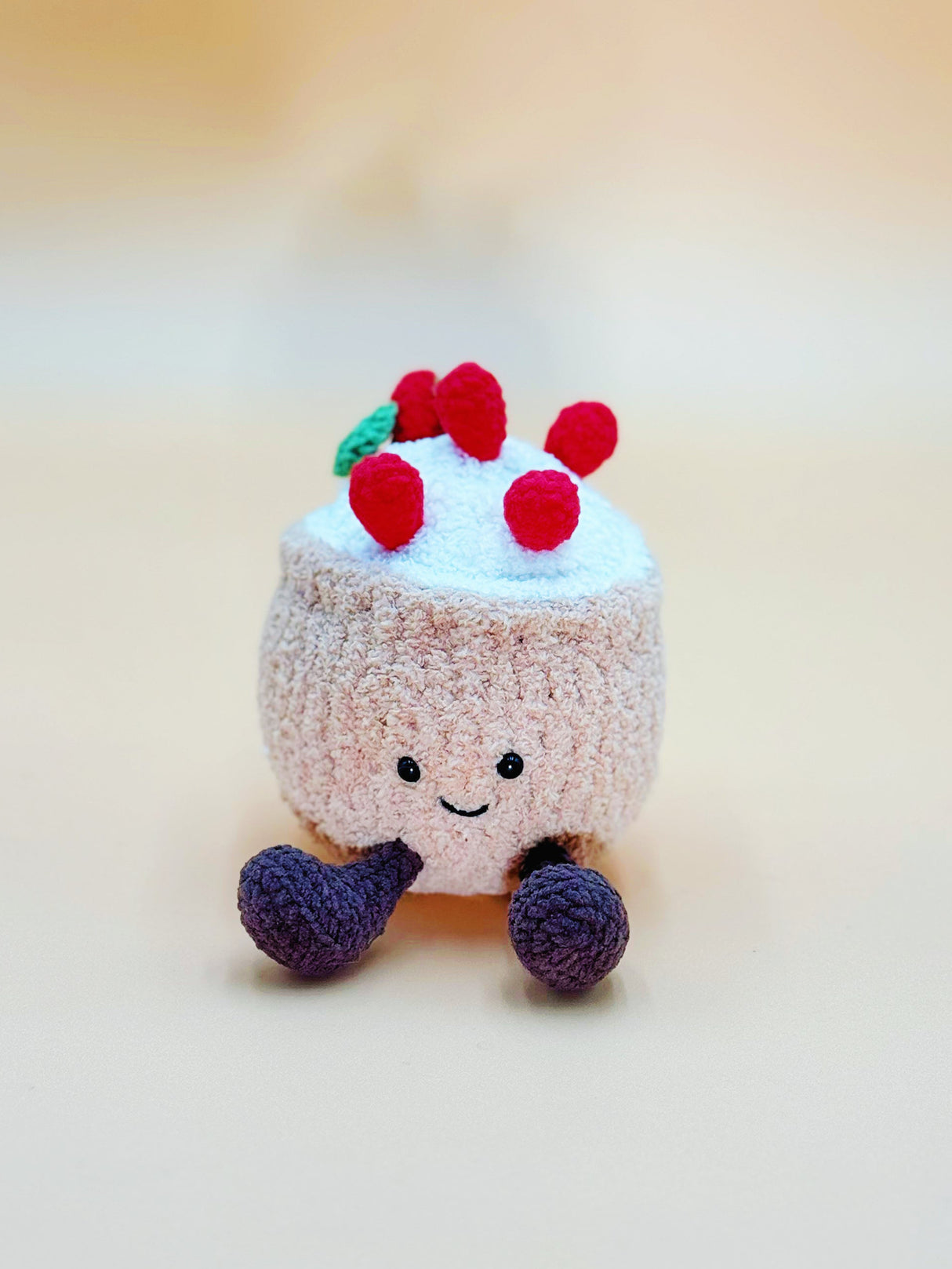 Raisin Cake Plushie | Crochet Flower Pot Home Decor