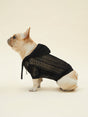 MESH HOODIE (BLACK) | Stylish Pet Accessory