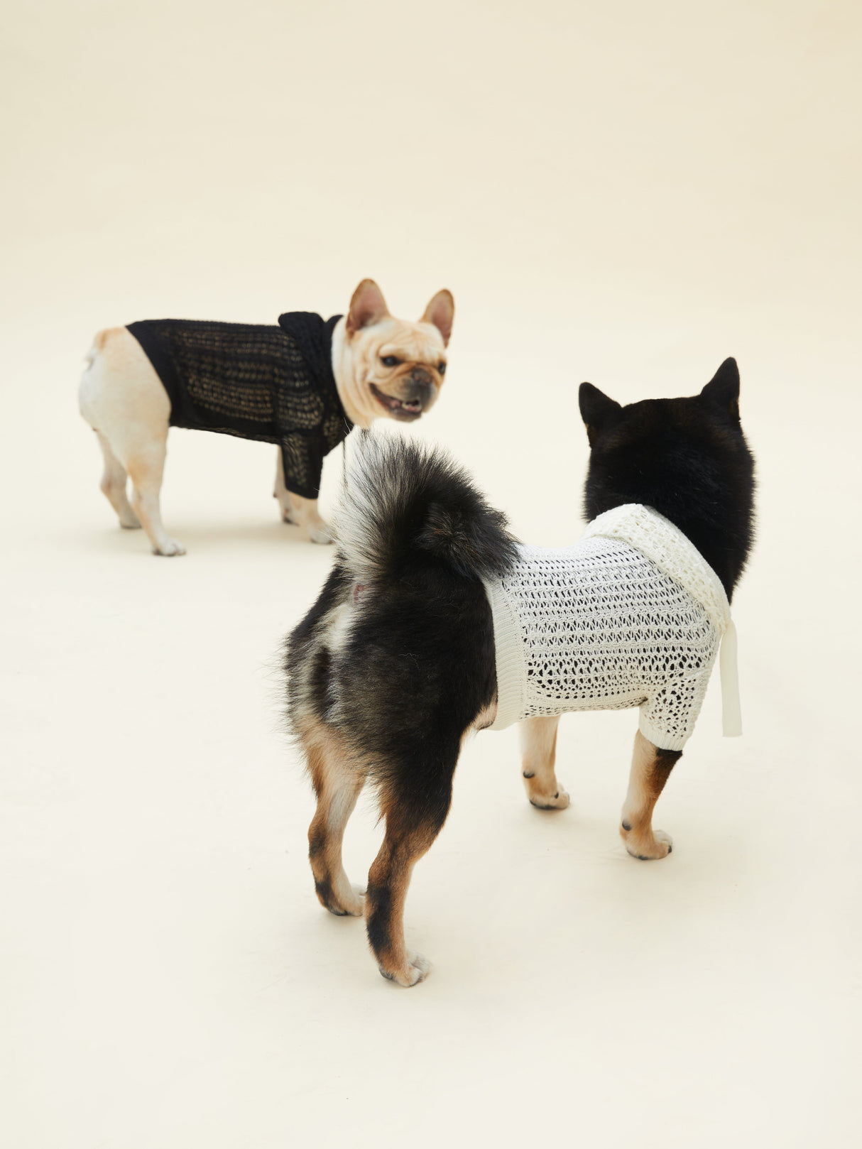 MESH HOODIE (WHITE)