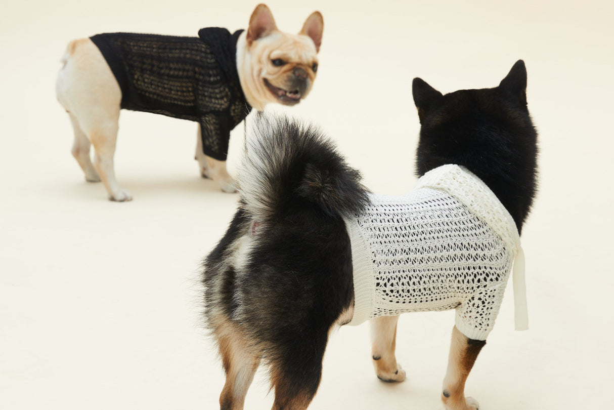 MESH HOODIE (BLACK)