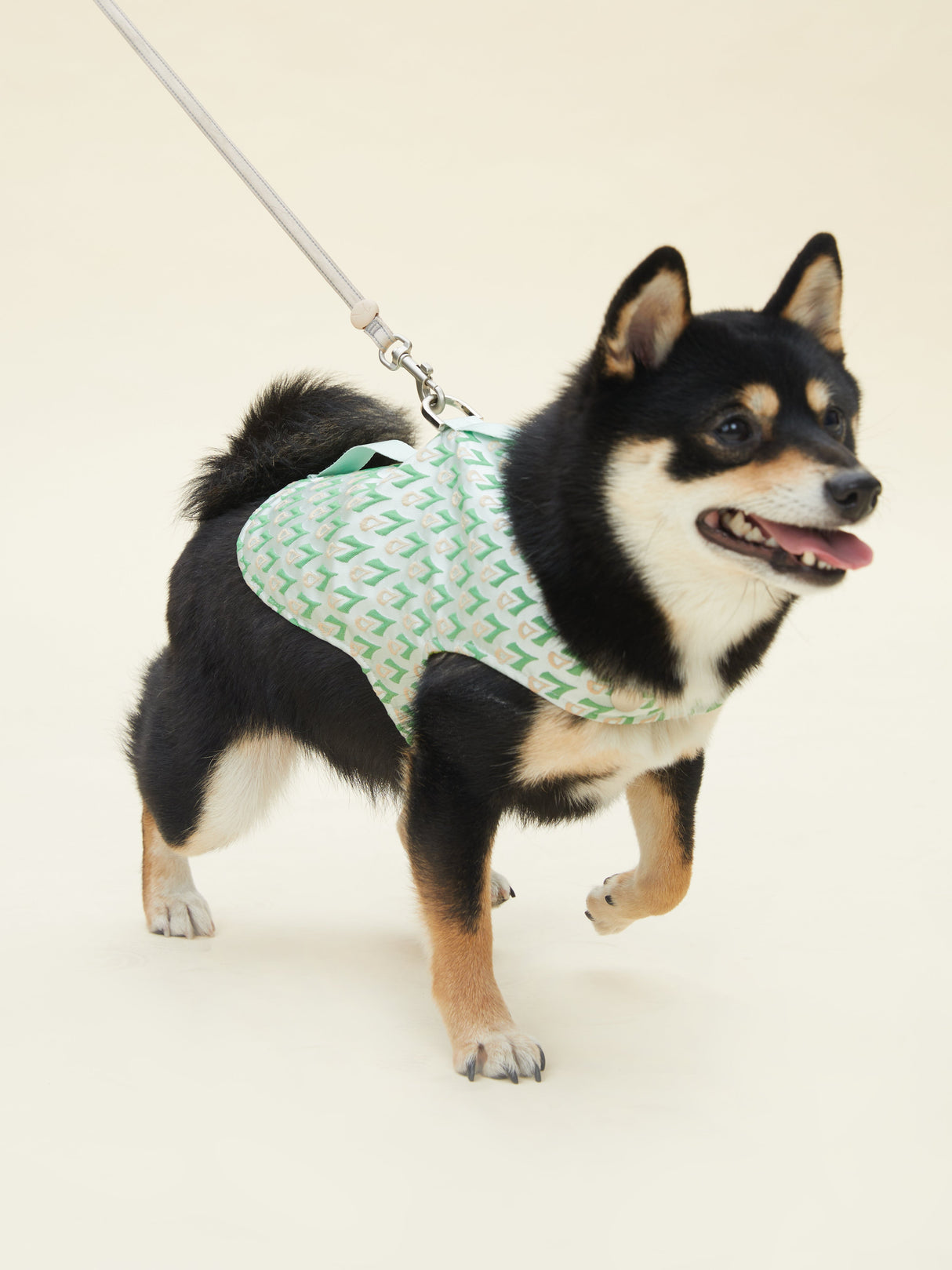 SIGNATURE HARNESS (VERDANT) | Stylish Pet Accessory