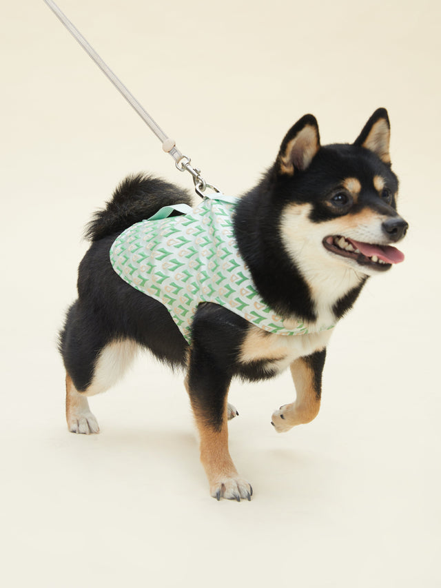 SIGNATURE HARNESS (VERDANT) | Stylish Pet Accessory