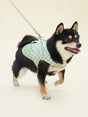 SIGNATURE HARNESS (VERDANT) | Stylish Pet Accessory